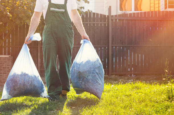 Best Recycling Services for Junk  in St Johns, AZ